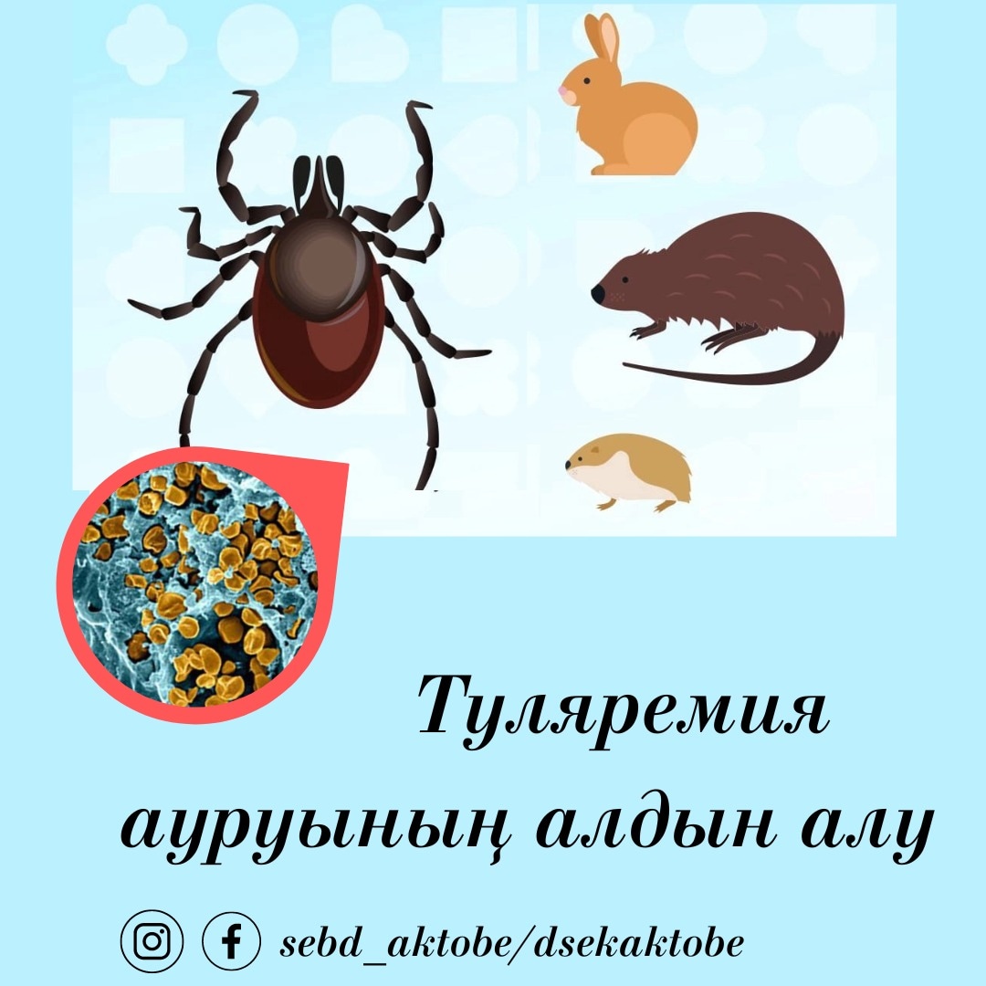 Жаңа секс онлайн көру Интернеттегі порно аниме