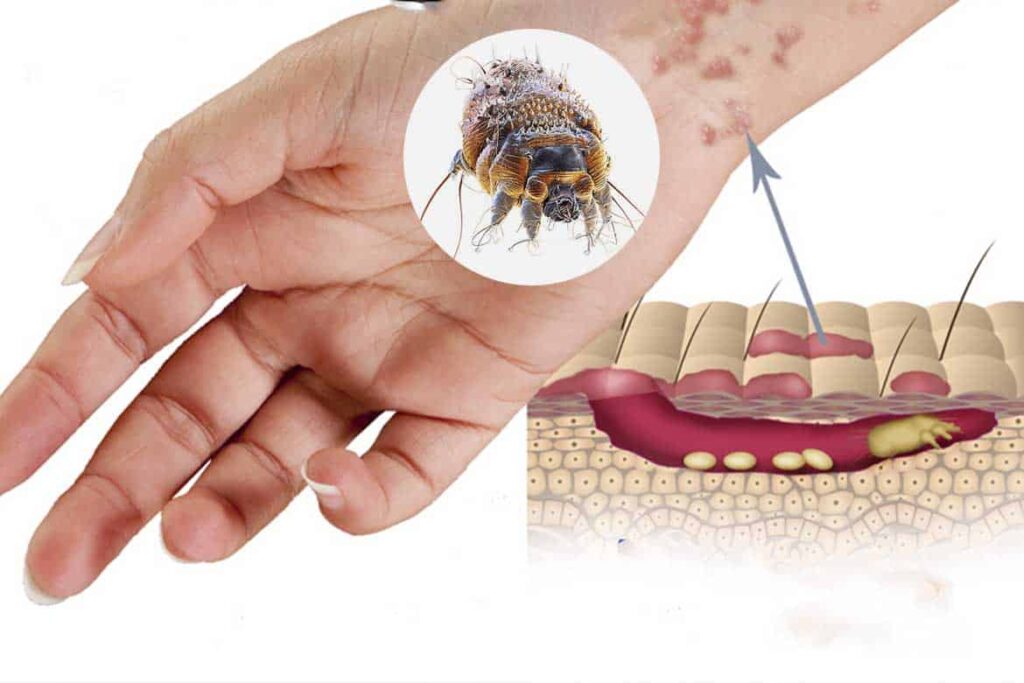 Клиторды қауырсынмен қытықтау