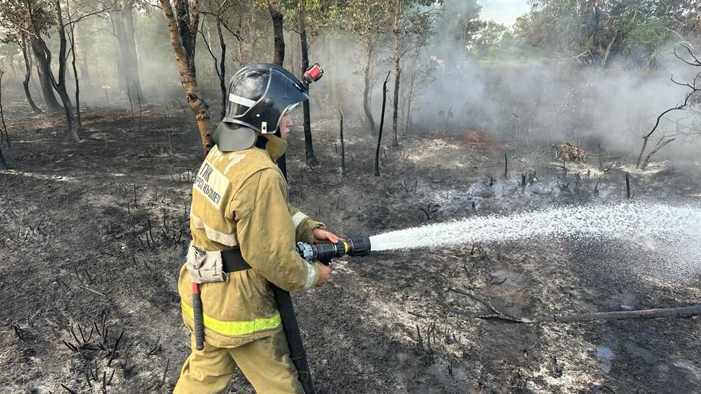 Лесной пожар в Наурзумском Государственном Природном Заповеднике ликвидирован