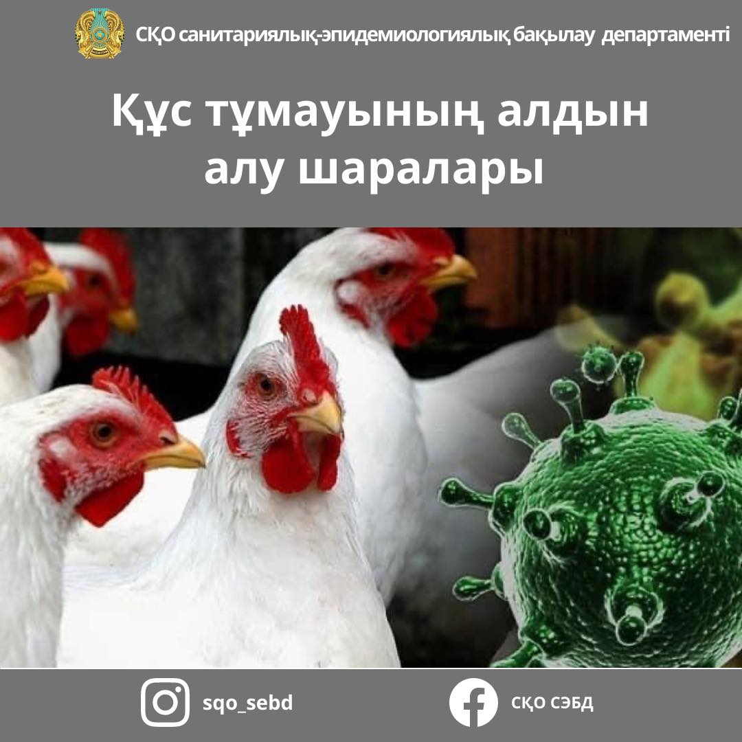 Құс тұмауының алдын алу шаралары