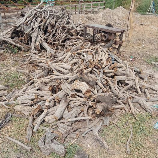 Сексуалдық көк анамды оятты