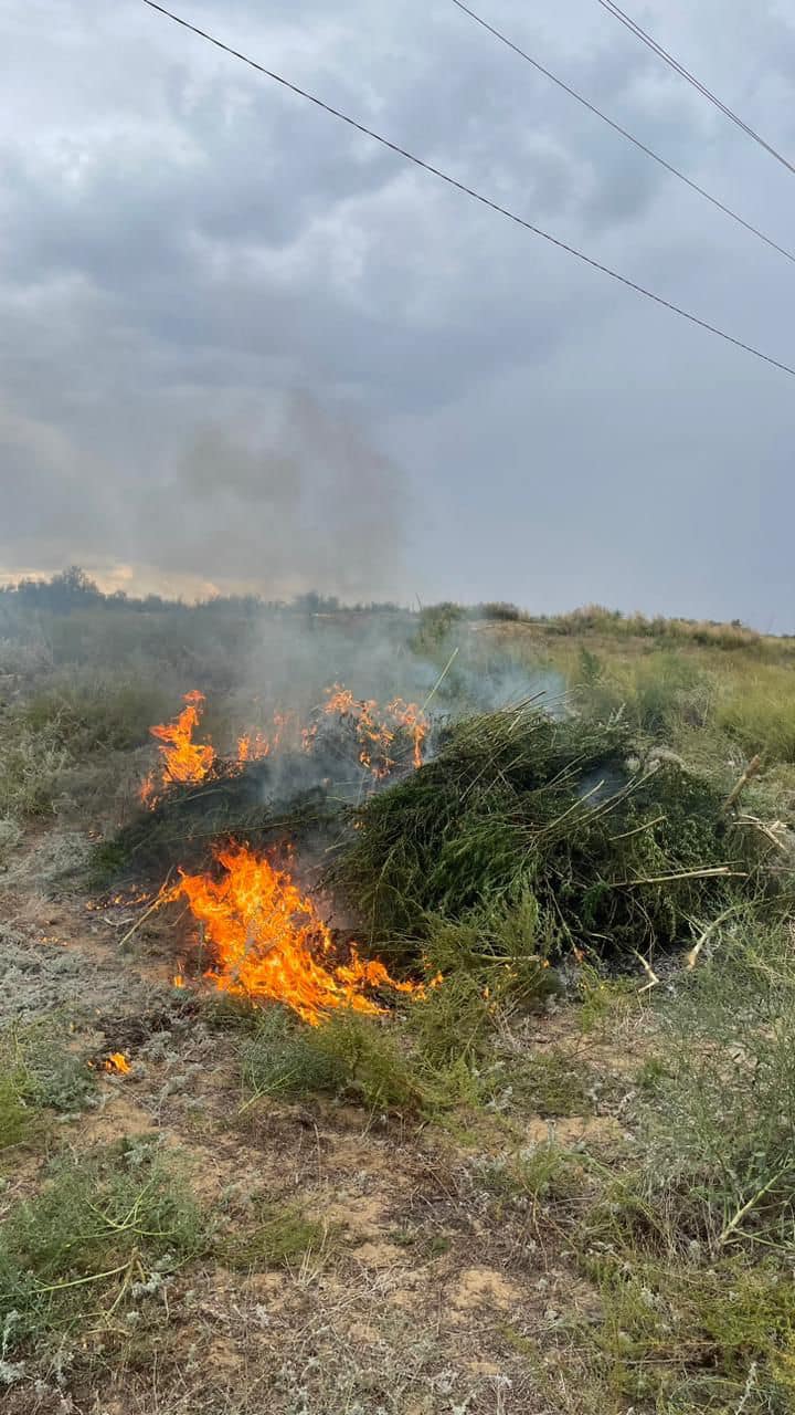 Свингер отбасыларындағы жыныстық қатынас Табиғаттағы эротикалық фото өнер