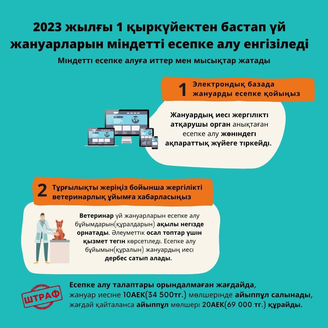 Үй жануарларын есепке алуға қатысты