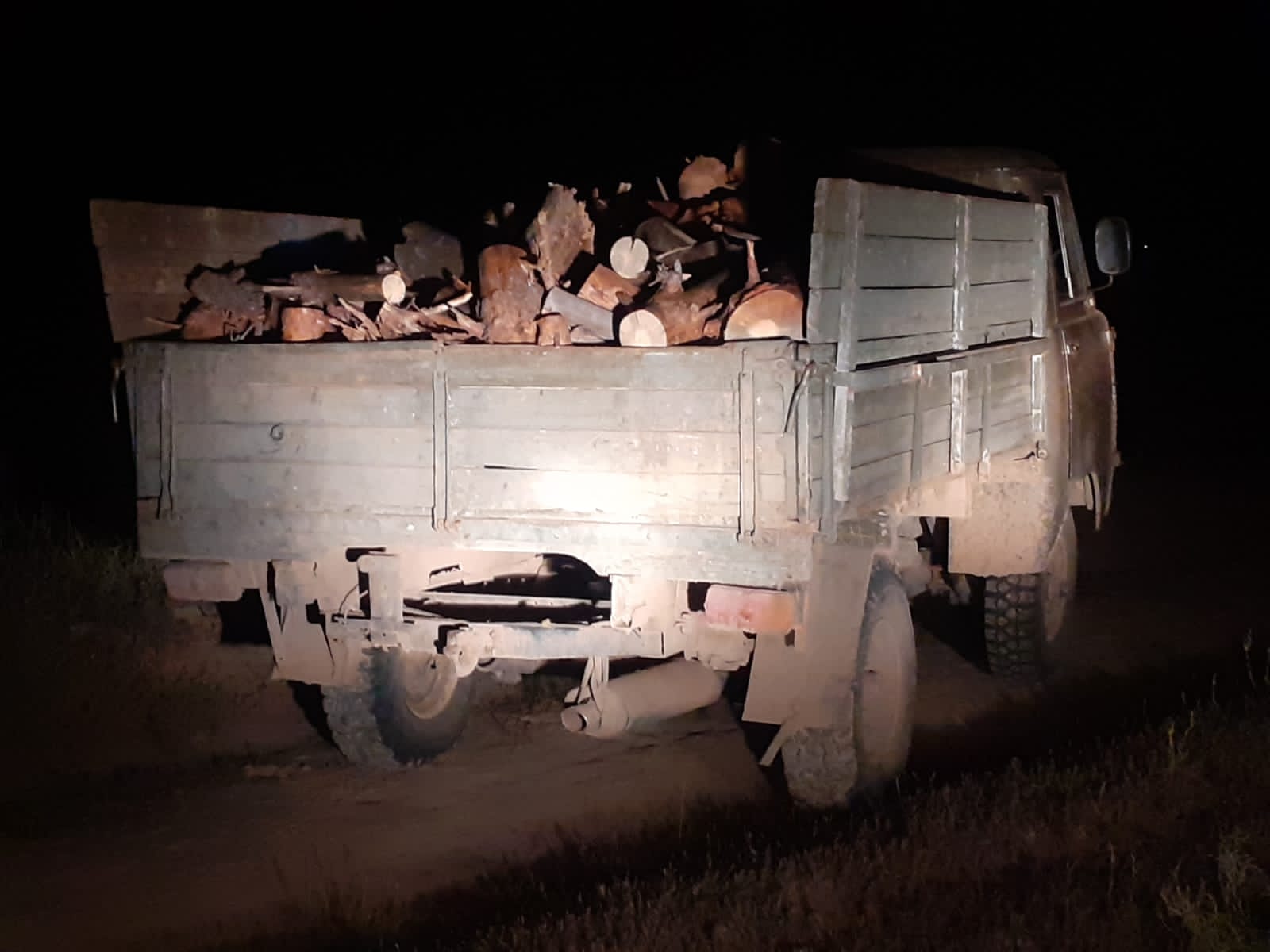Выявлен факт незаконной вырубки деревьев