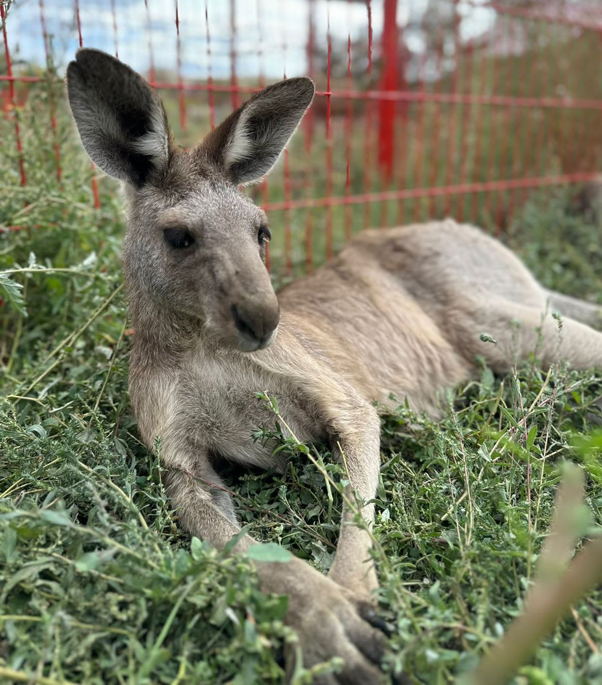 Еркектердің жас әйелдермен түскен порно видеосы