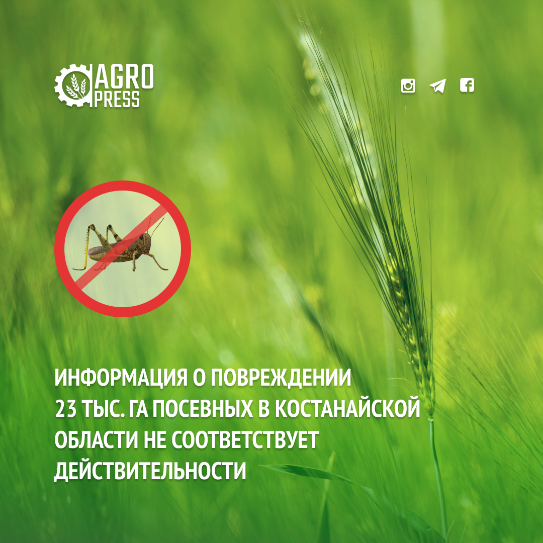 Информация о повреждении 23 тыс. га посевных в Костанайской области не соответствует действительности