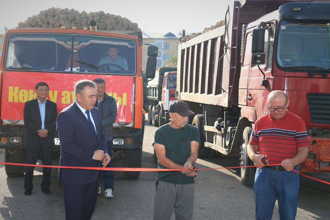 Начало приемки урожая свеклы