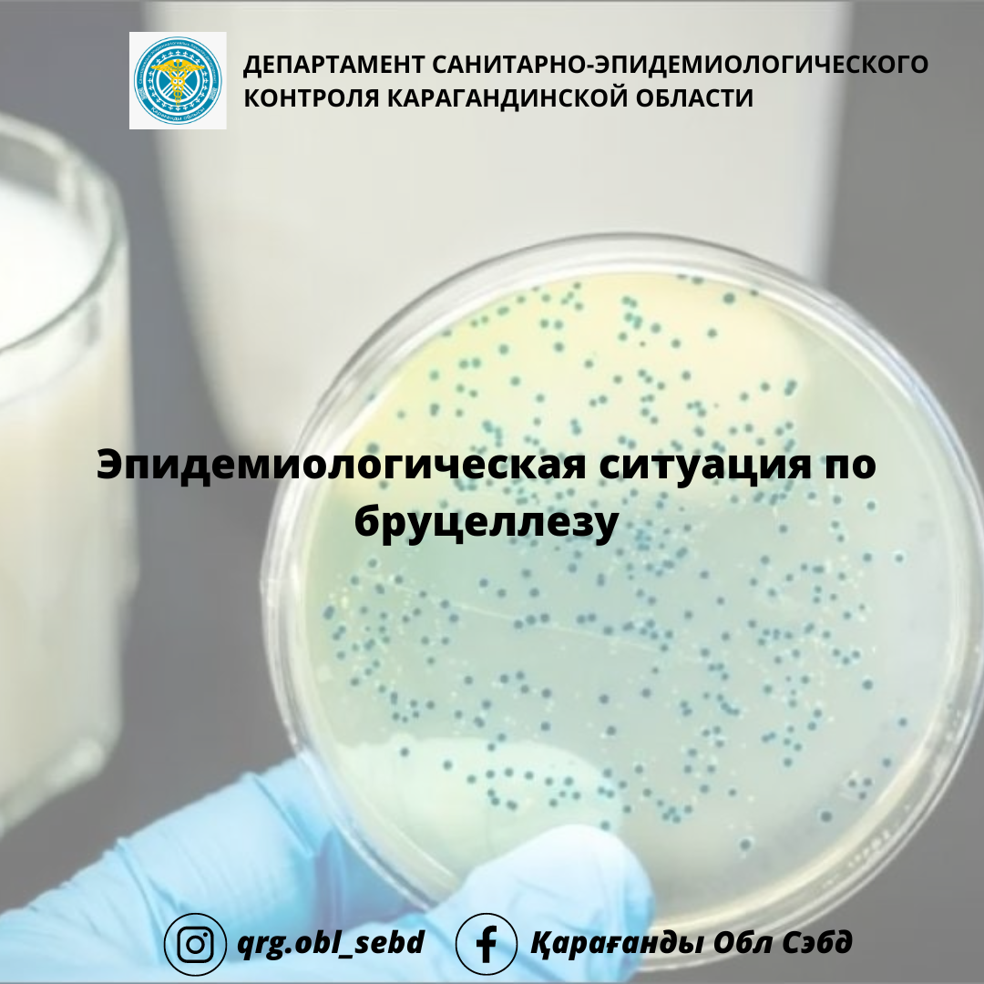 Эпидемиологическая ситуация по бруцеллезу