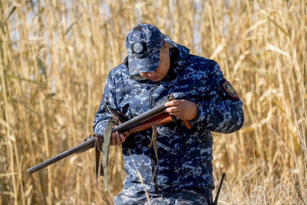 Ақсу ауданында заңсыз аңшылық пен қаруды заңсыз сақтау деректері анықталды