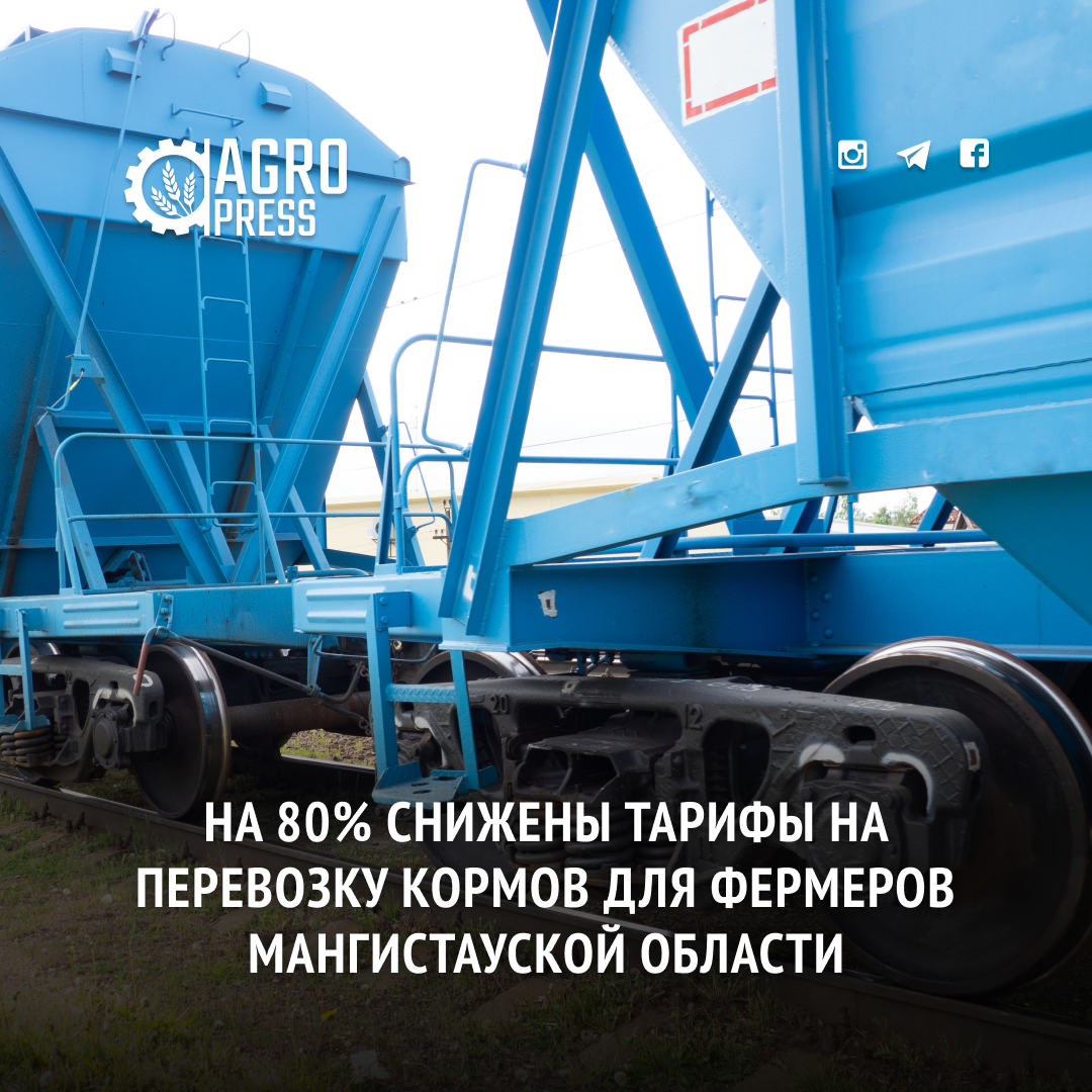 На 80% снижены тарифы на перевозку кормов для фермеров Мангистауской области