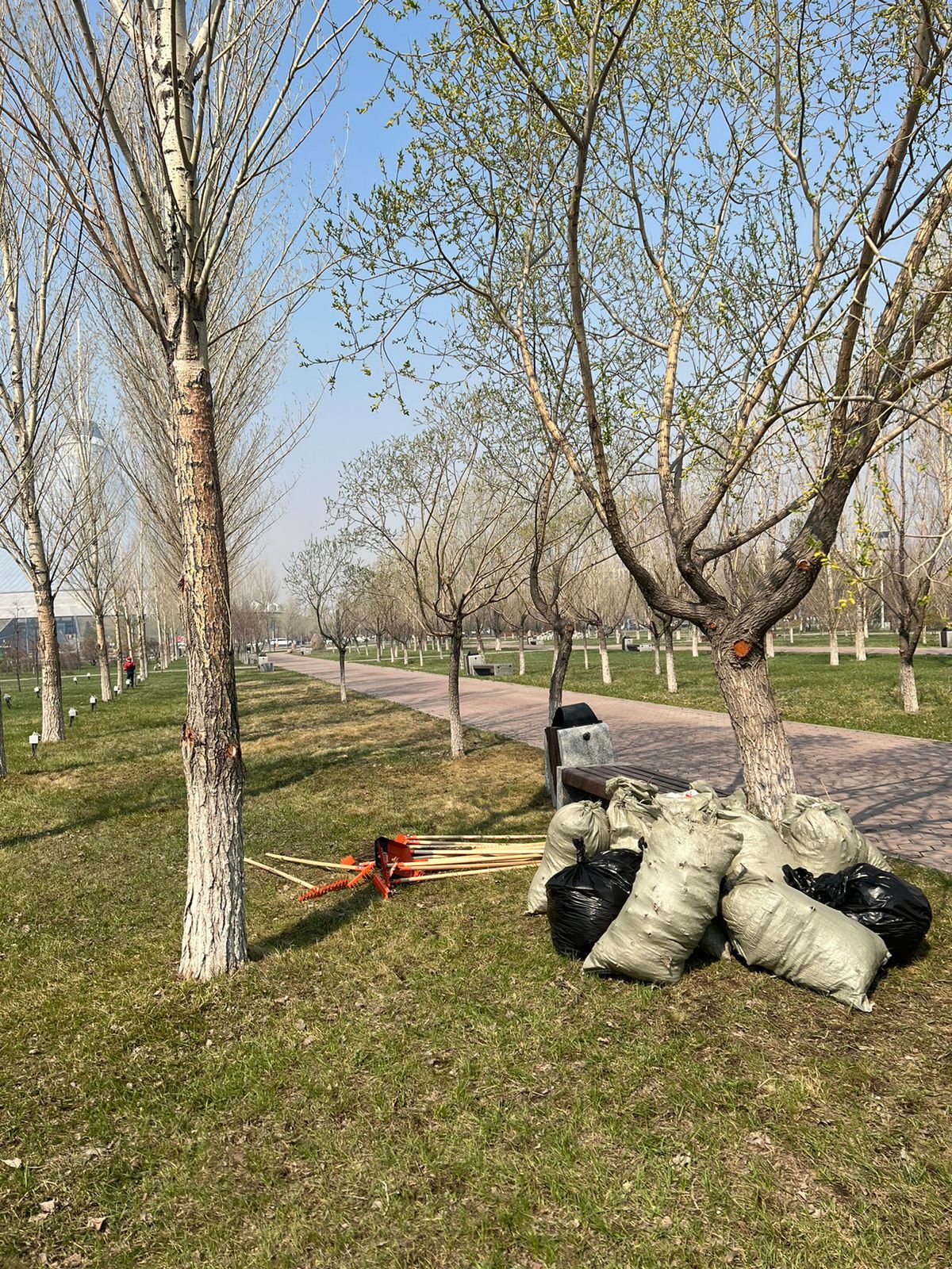 Общегородской субботник проведут в Астане