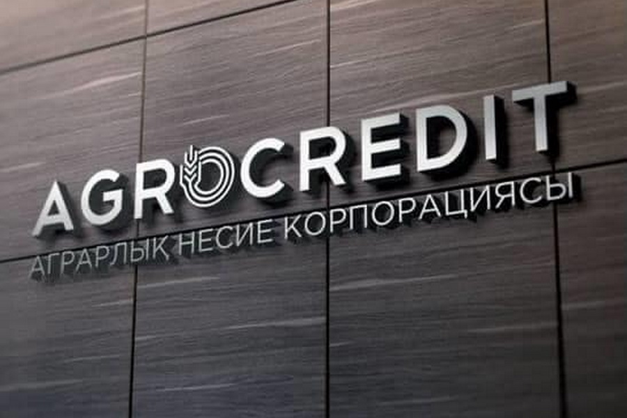 "Аграрлық несие корпорациясы" АҚ-ға қазақстандықтардан жеңілдетілген шағын несие алуға 6 мыңнан астам өтінім келіп түсті. Бұл шағын несиені жастар 2,5%-бен кәсіпкерлік бастамаларға ала алады.