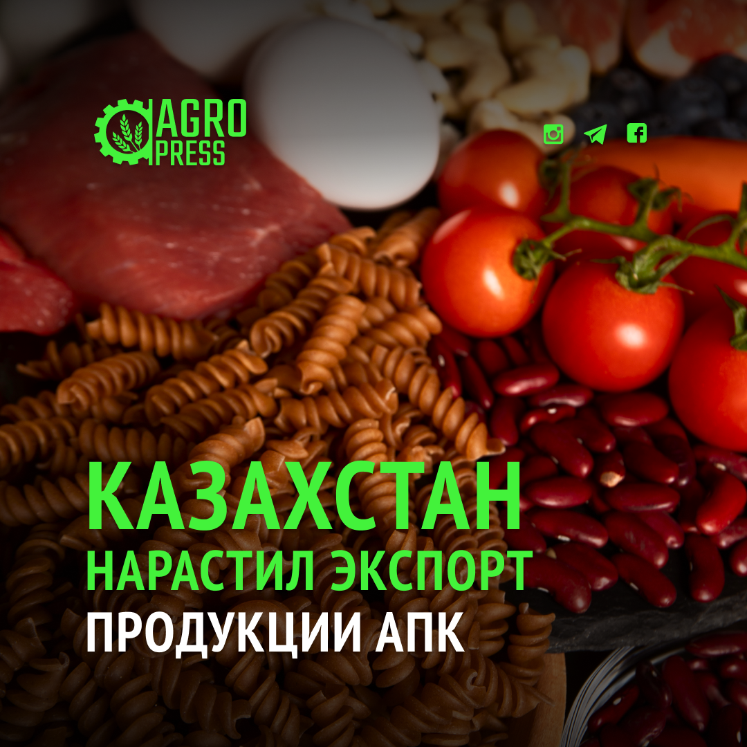 Казахстан нарастил экспорт продукции АПК