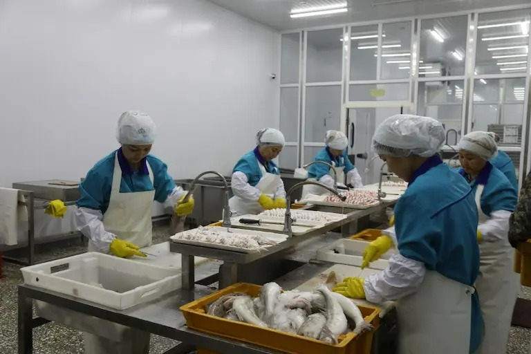 Запущен второй этап ТОО «ARAL SEA FOOD»