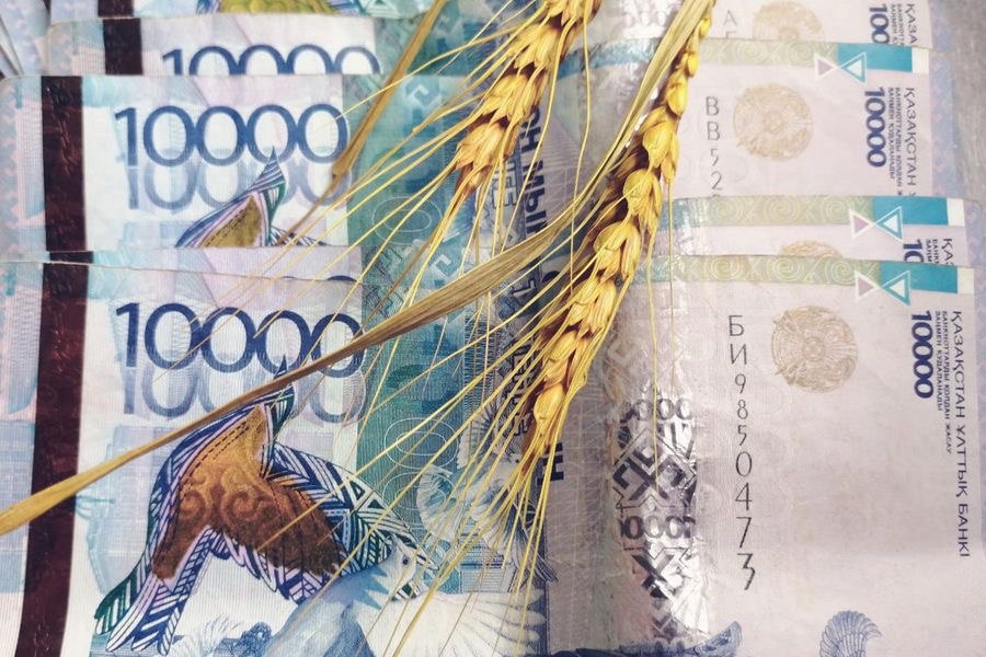 Солтүстік Қазақстан облысының прокурорлары  АӨК субъектісімен заңды субсидия алуға қол жеткізді.