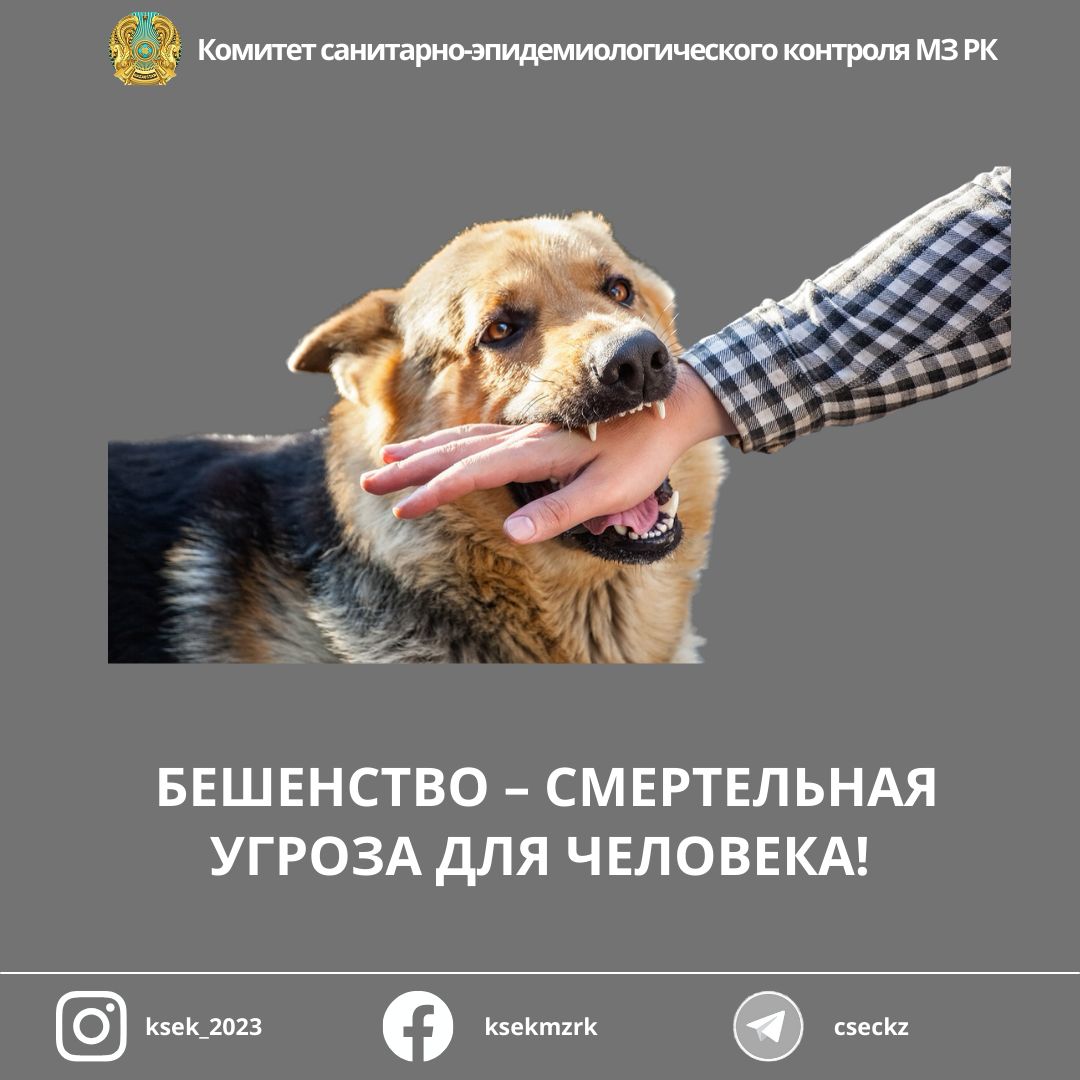 Адамға құтыру қандай қауіп төндіреді?
