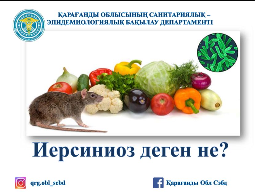 Иерсиниоз. Алдын алу шаралары