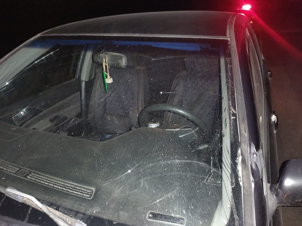 В СКО лошадь попала под колёса автомобиля