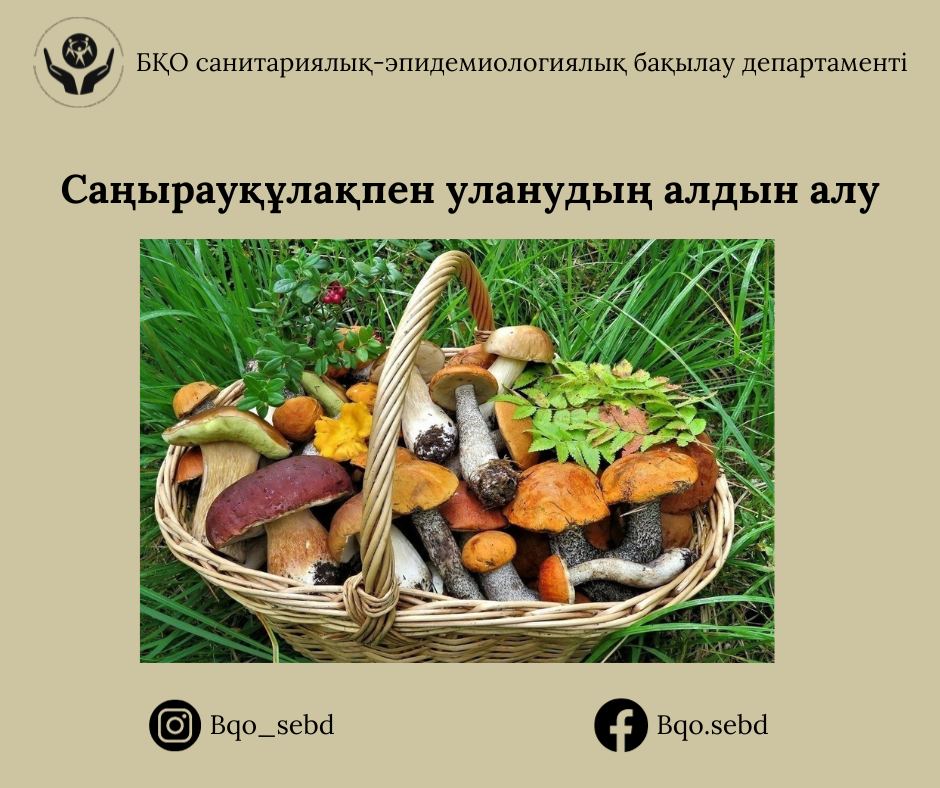 Үйде жасалған электросекс стимуляторының схемалық диаграммасы