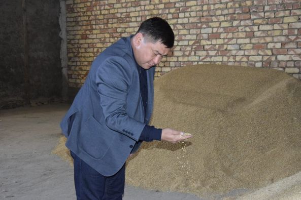 Глава района ознакомился с работой хозяйств в селе Актобе