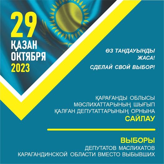 Выборы