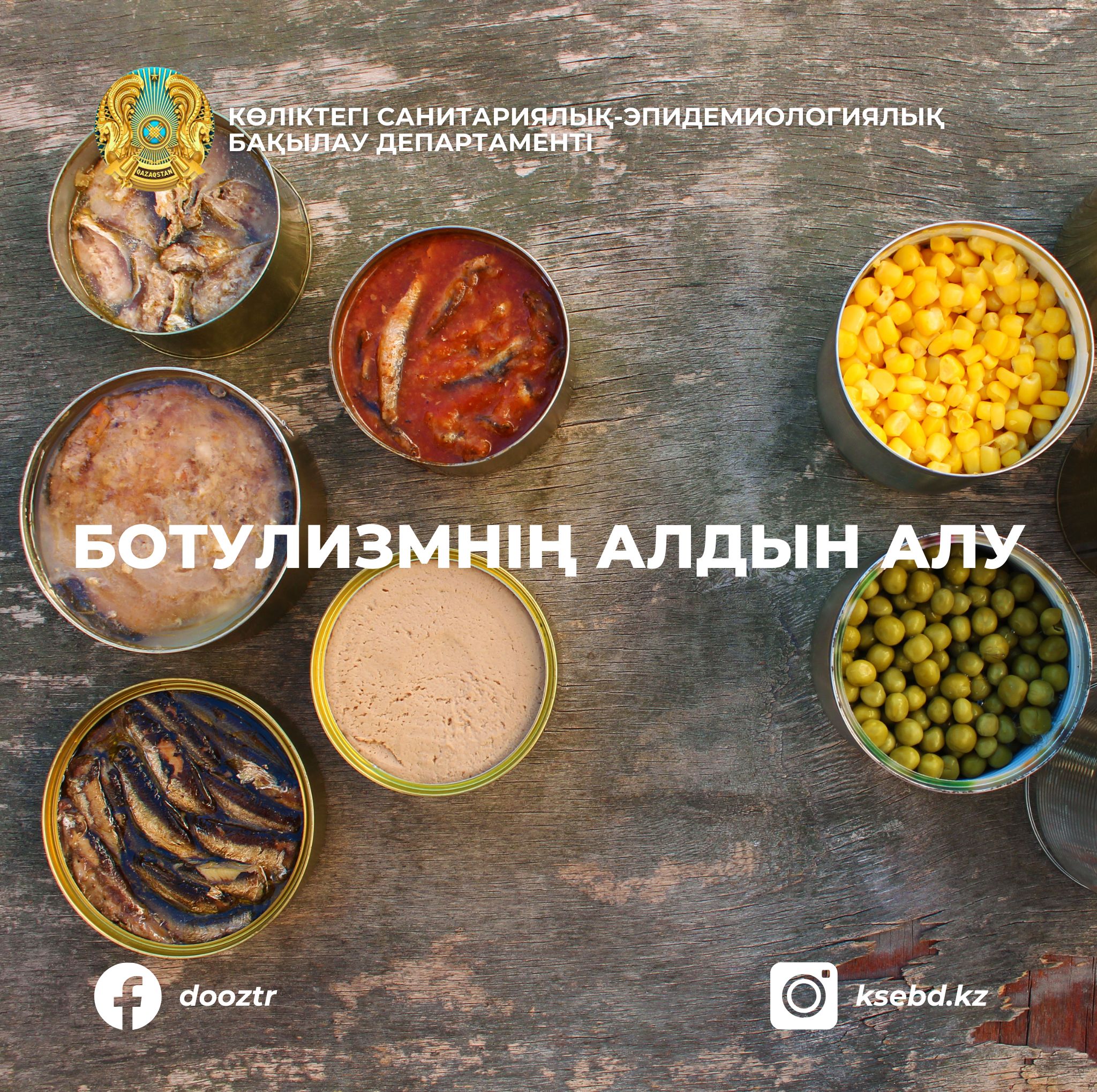 Ботулизмнің алдын алу