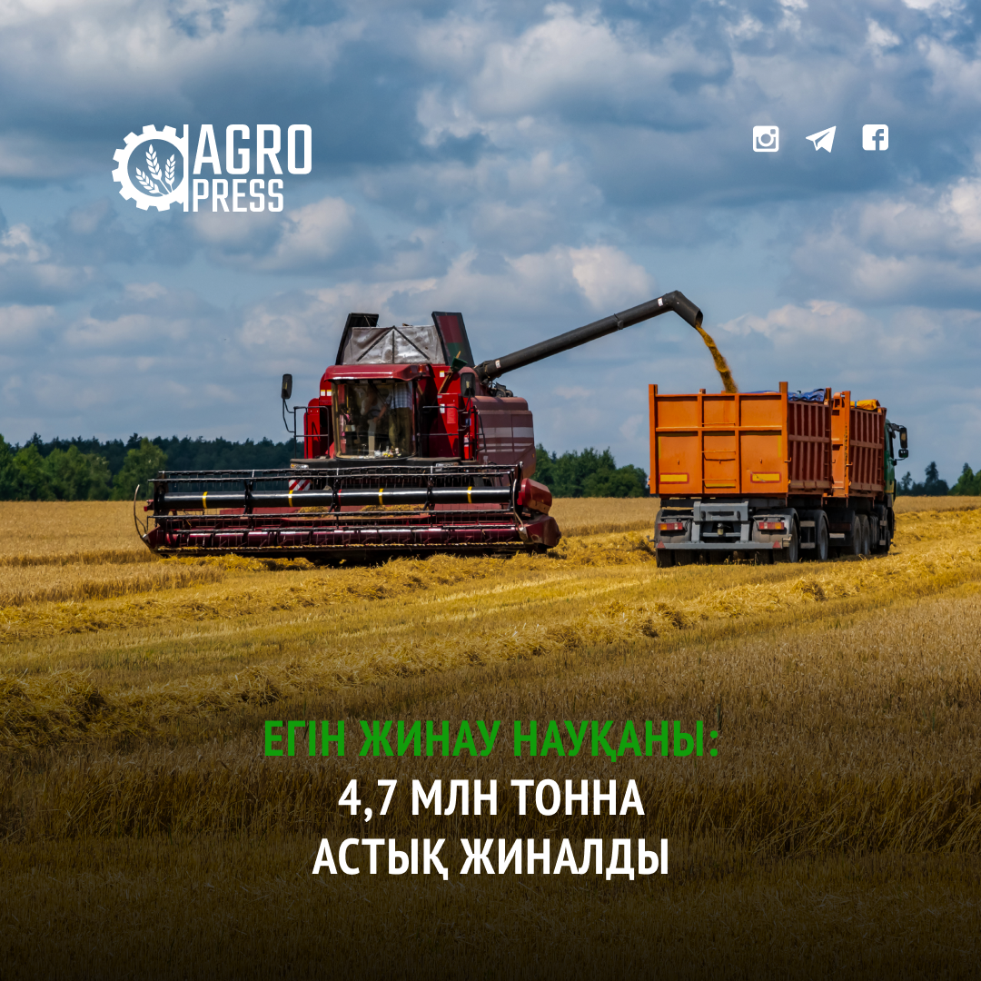 Егін жинау науқаны: 4,7 млн тонна астық жиналды