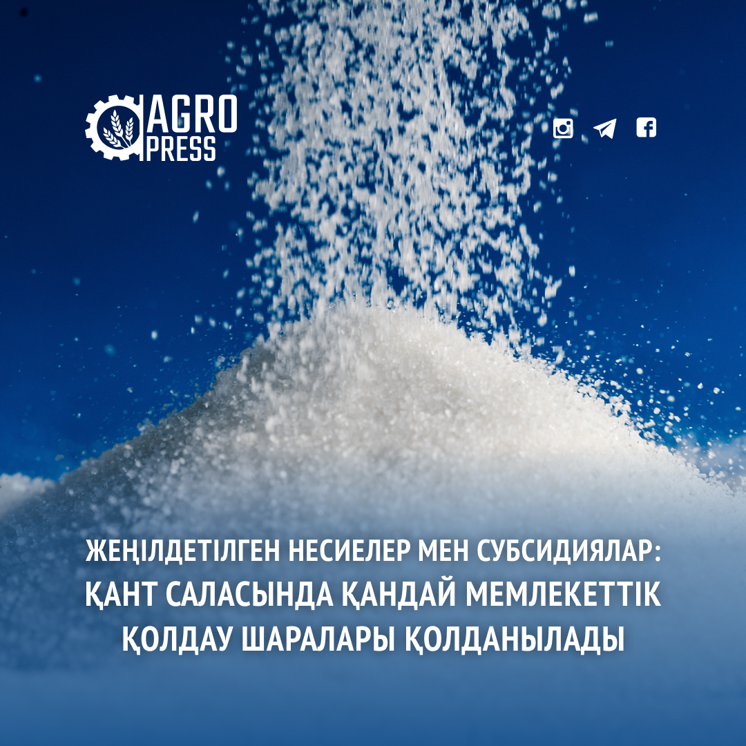 Жеңілдетілген несиелер мен субсидиялар: Қант саласында қандай мемлекеттік қолдау шаралары қолданылады
