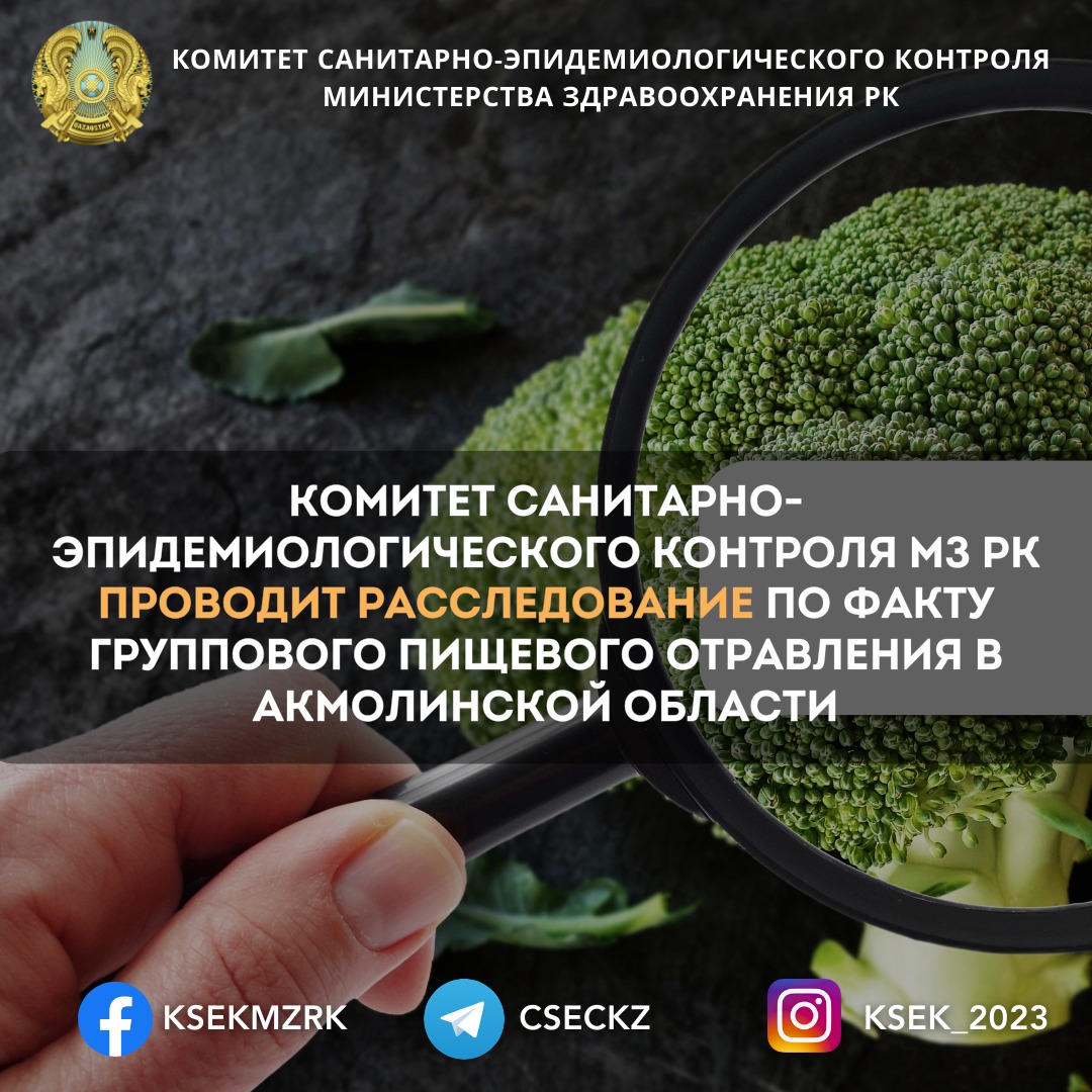 Комитет санитарно-эпидемиологического контроля МЗ РК проводит расследование по факту группового пищевого отравления в Акмолинской области