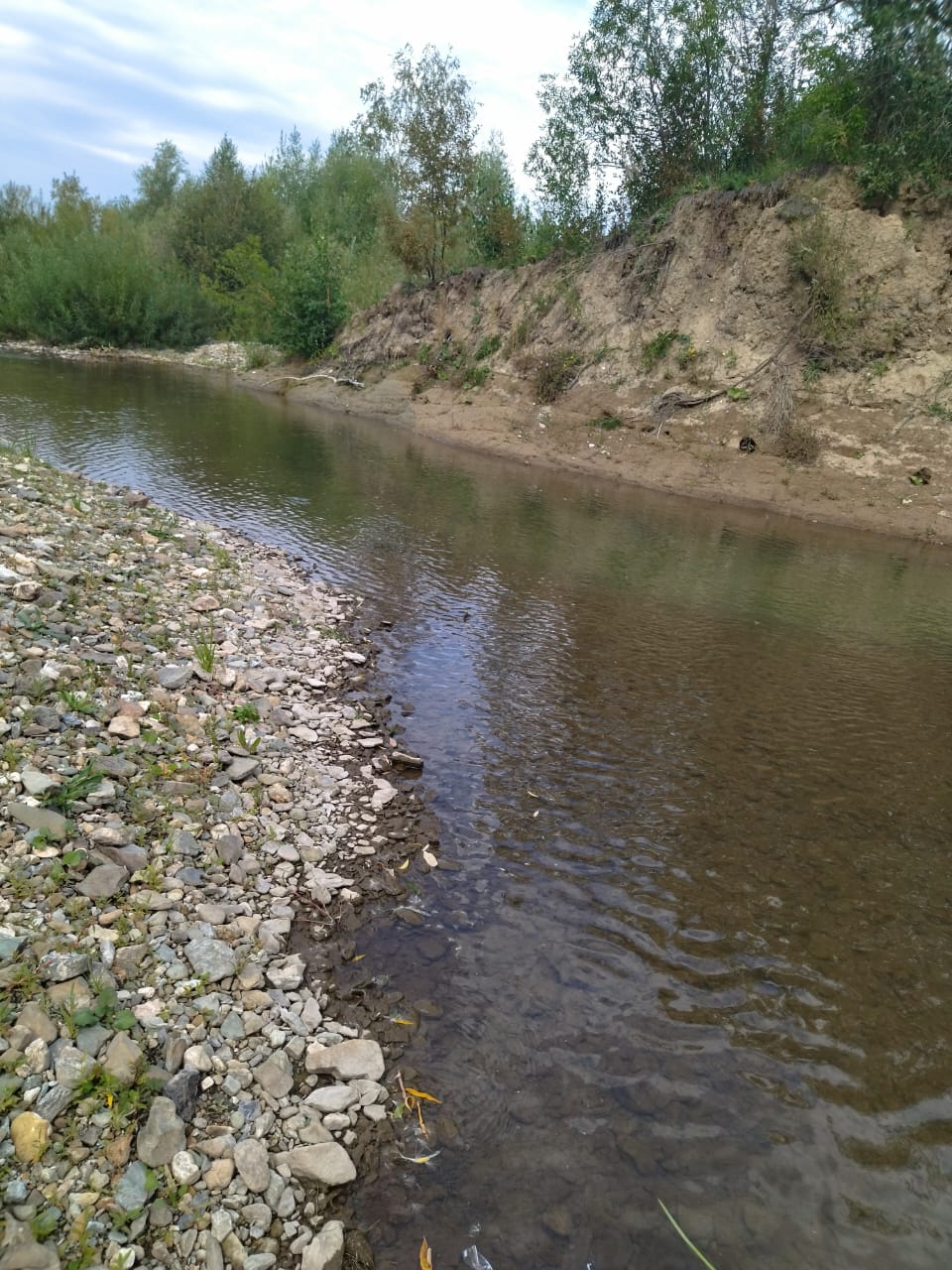 О принятых мерах по ликвидации последствий аварийного порыва трубопровода хвостового хранилища Риддерского горно-обогатительного комплекса ТОО «Казцинк» в Восточно-Казахстанской области.