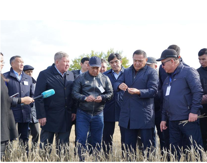 В Акмолинской области создана комиссия по проблемным вопросам уборочной кампании