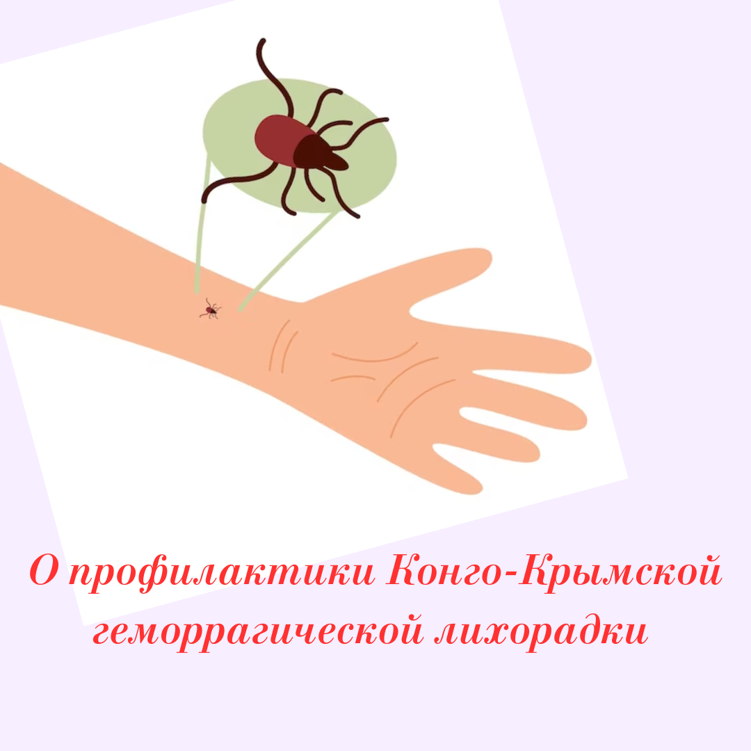 Конго-крымская геморрагическая лихорадка возбудитель. Конго-крымская геморрагическая лихорадка. Конго-крымской геморрагической лихорадки (ккгл). Крымская геморрагическая лихорадка патогенез. Крымская геморрагическая лихорадка профилактика.