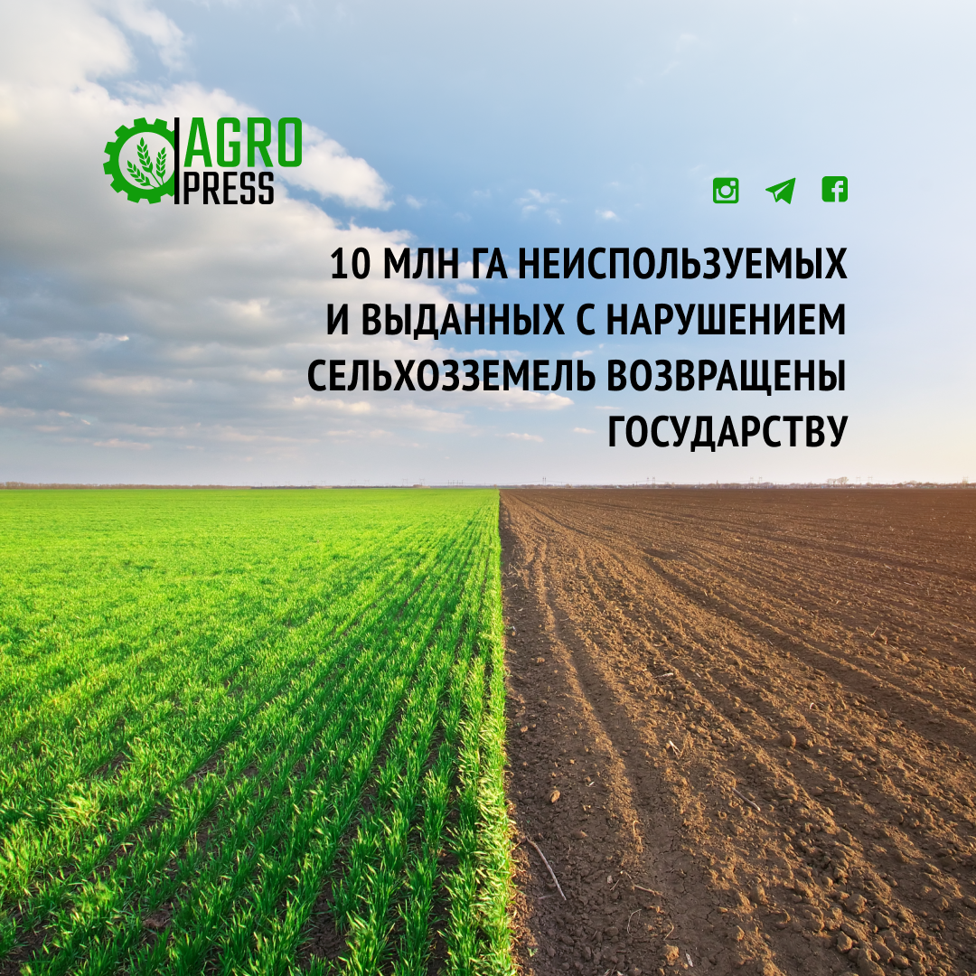 10 млн га неиспользуемых и выданных с нарушением сельхозземель возвращены государству