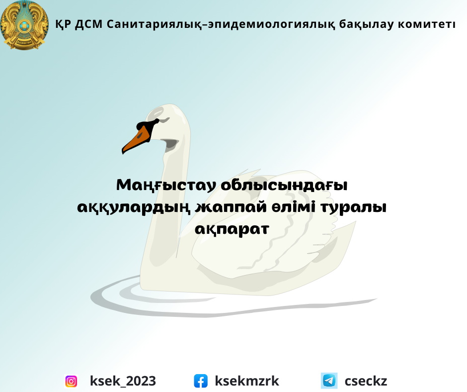 Маңғыстау облысындағы аққулардың жаппай өлімі туралы ақпарат