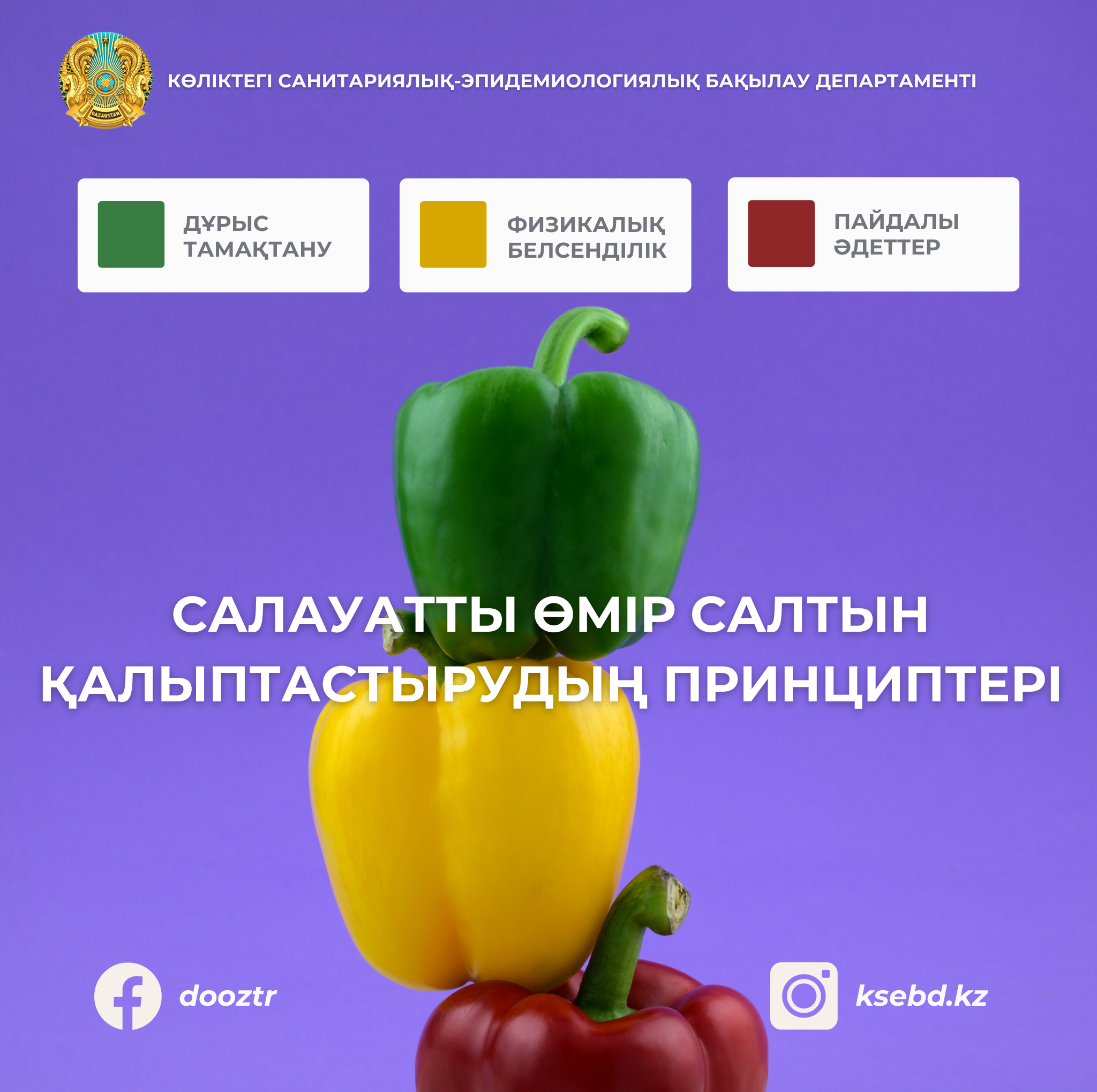 Салауатты өмір салтын қалыптастырудың принциптері