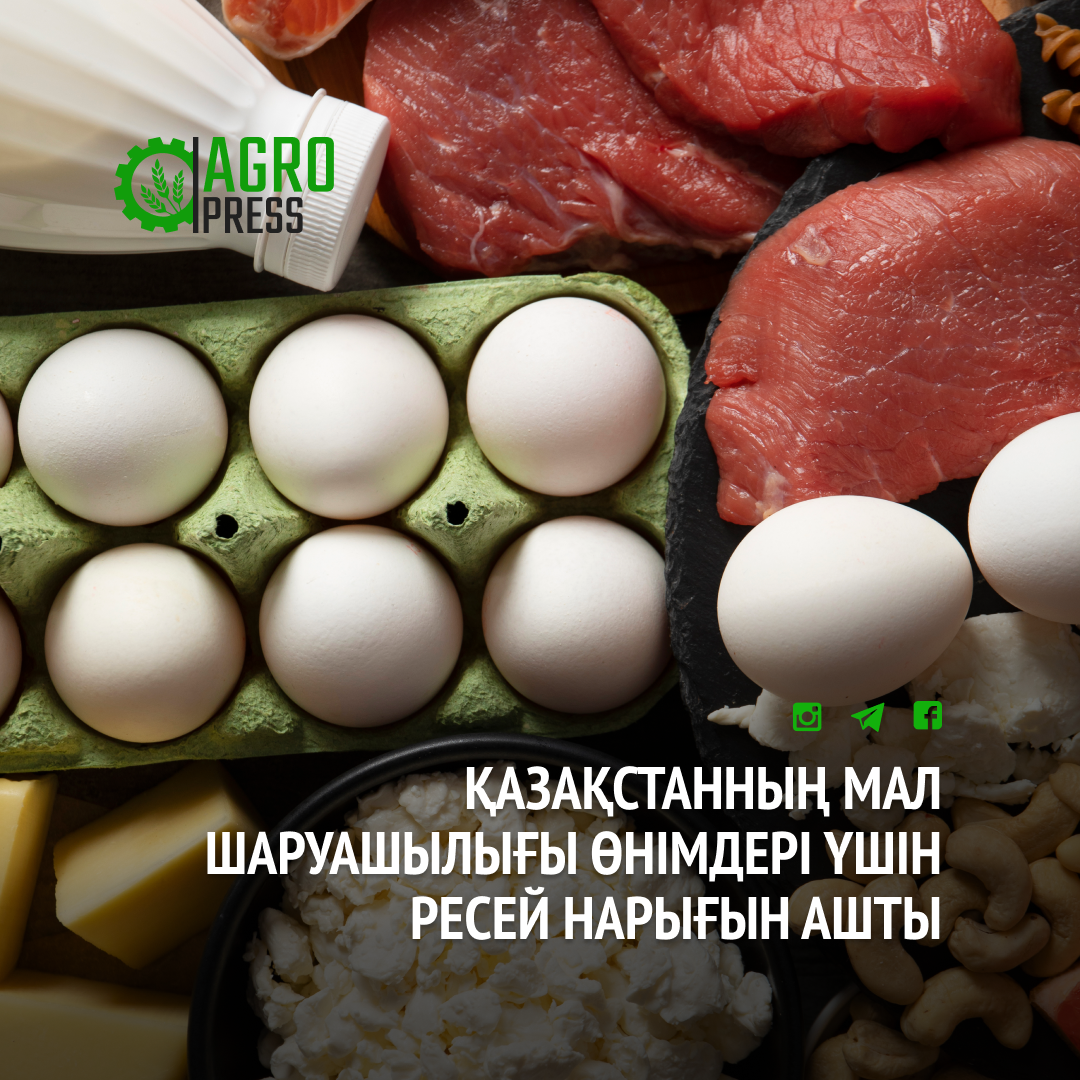 Қазақстанның мал шаруашылығы өнімдері үшін Ресей нарығын ашты