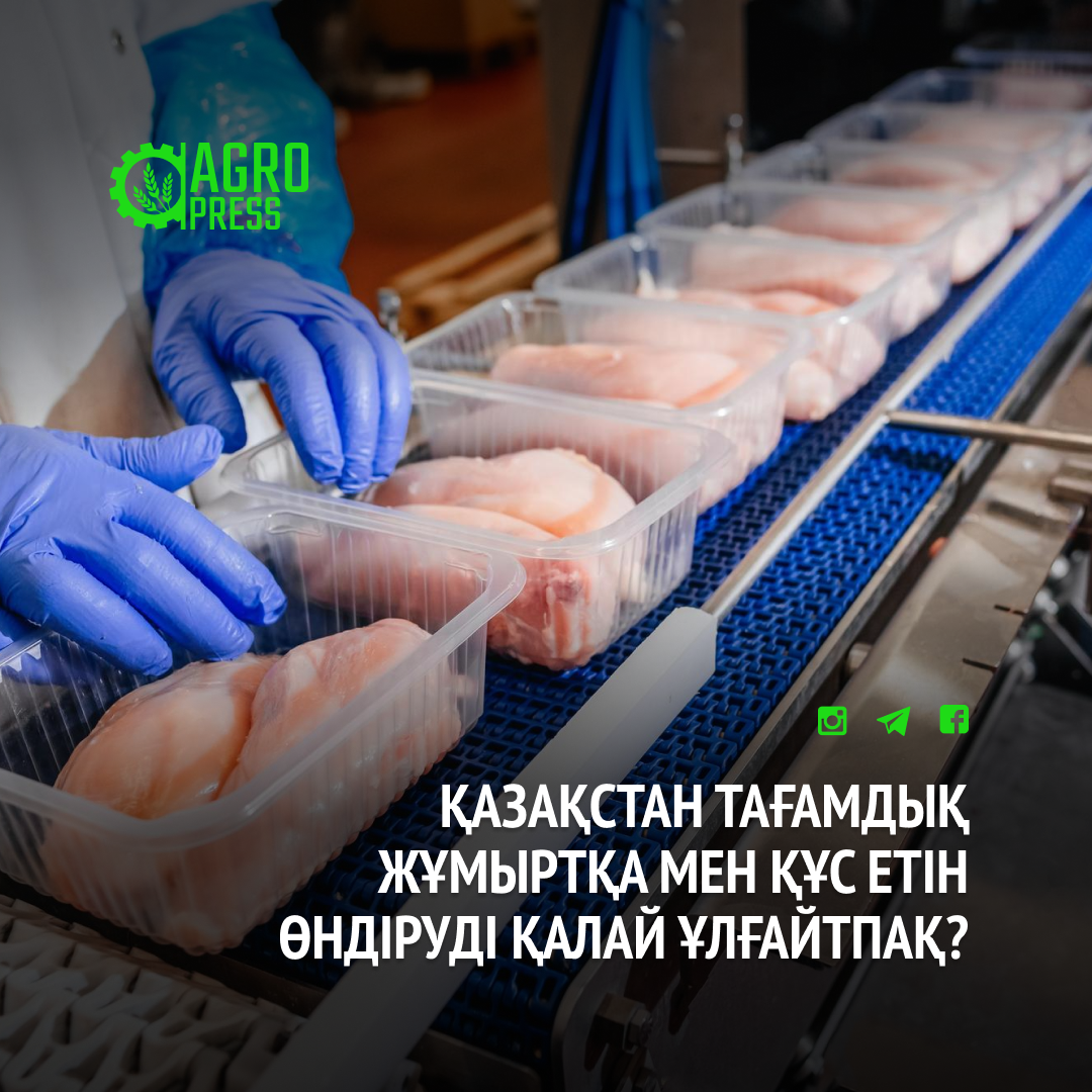 Қазақстан тағамдық жұмыртқа мен құс етін өндіруді қалай ұлғайтпақ?