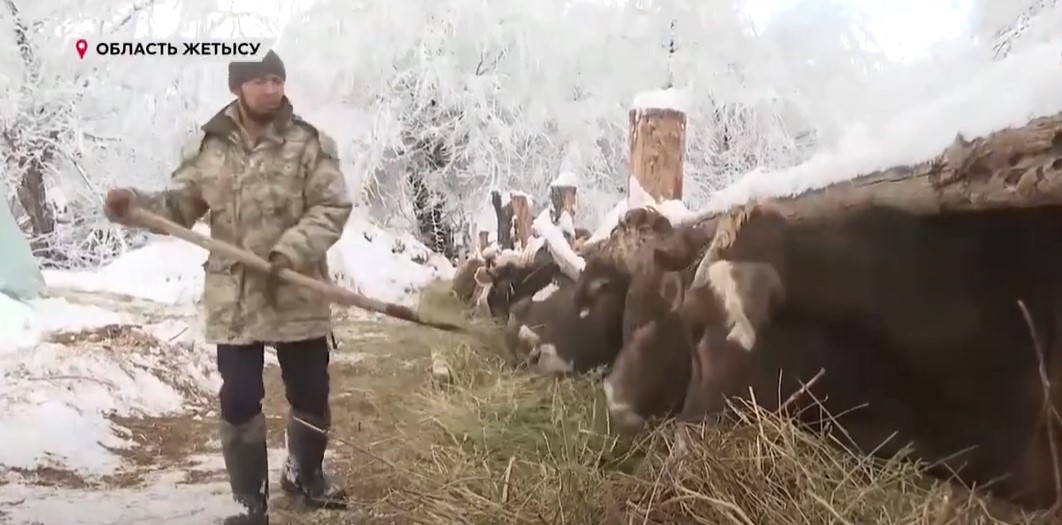 Севастопольдегі жезөкшелер
