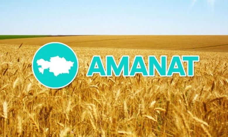 Программа микрокредитования "АУЫЛ АМАНАТЫ"