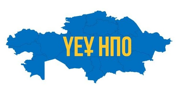 Социальные проекты для НПО на 2024 год