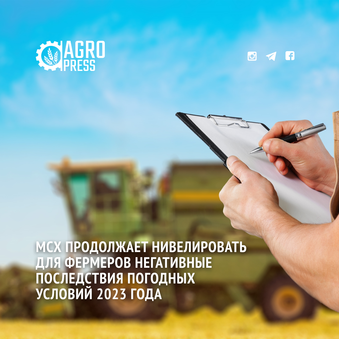 МСХ продолжает нивелировать для фермеров негативные последствия погодных условий 2023 года