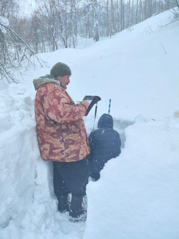 Алтай ауданында көшкін қаупі байқалады