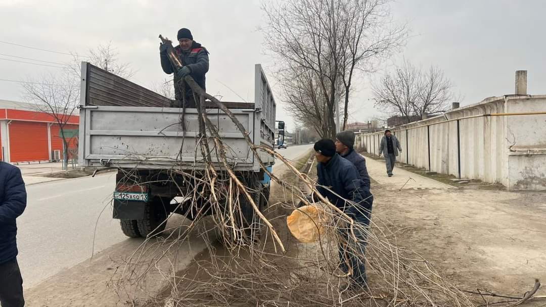 ШАРДАРА: ЖЕРДІҢ КӨРКІ — ТАЗАЛЫҚТА!