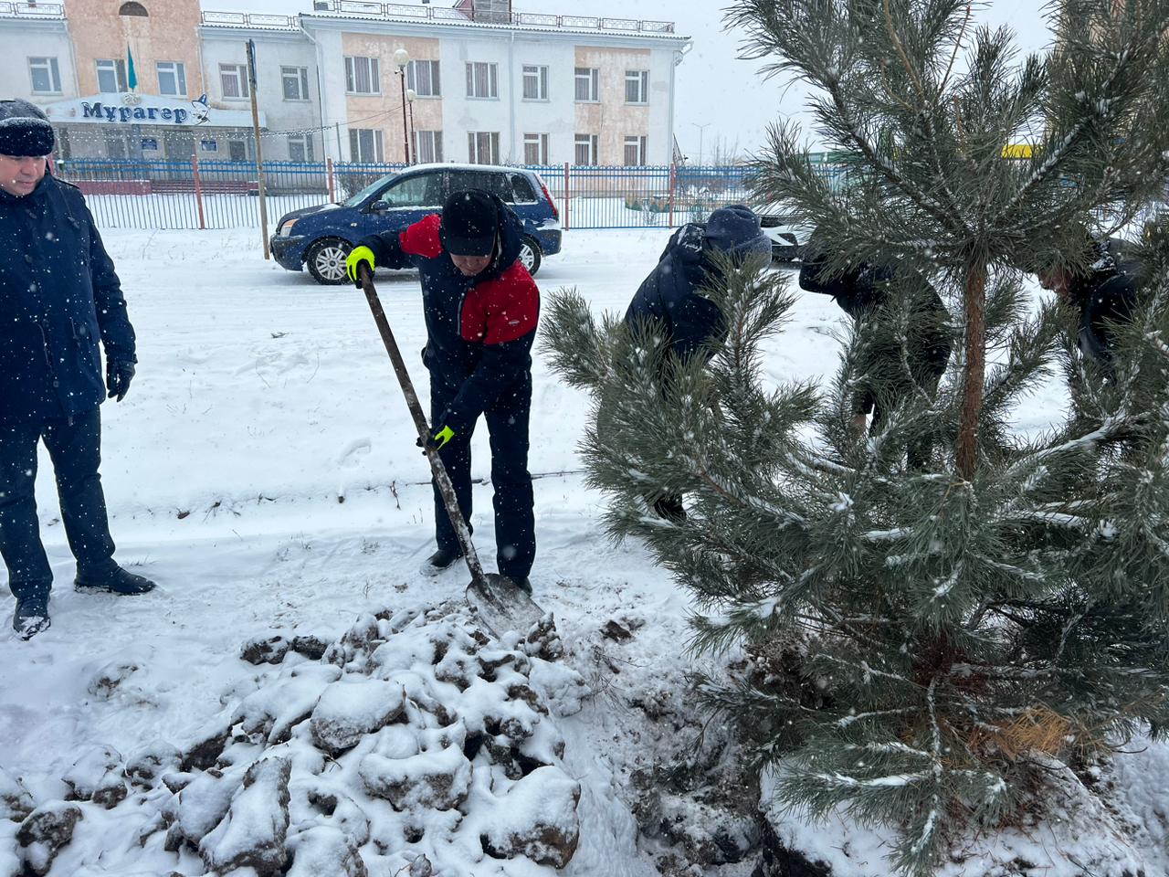 Оралдың жаңа шағын ауданы жасыл желекпен толықты