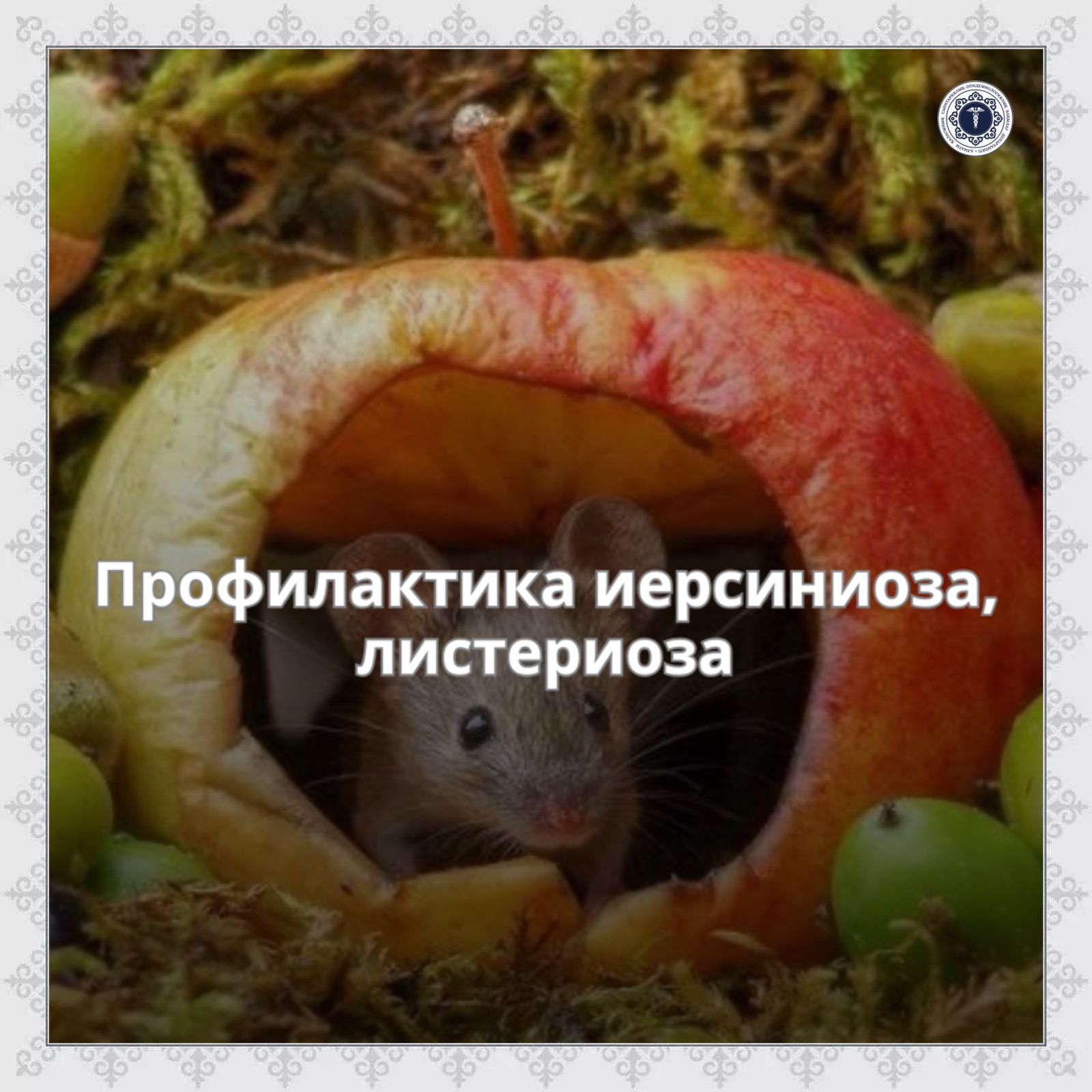 Иерсиниоз, листериоздың алдын-алу