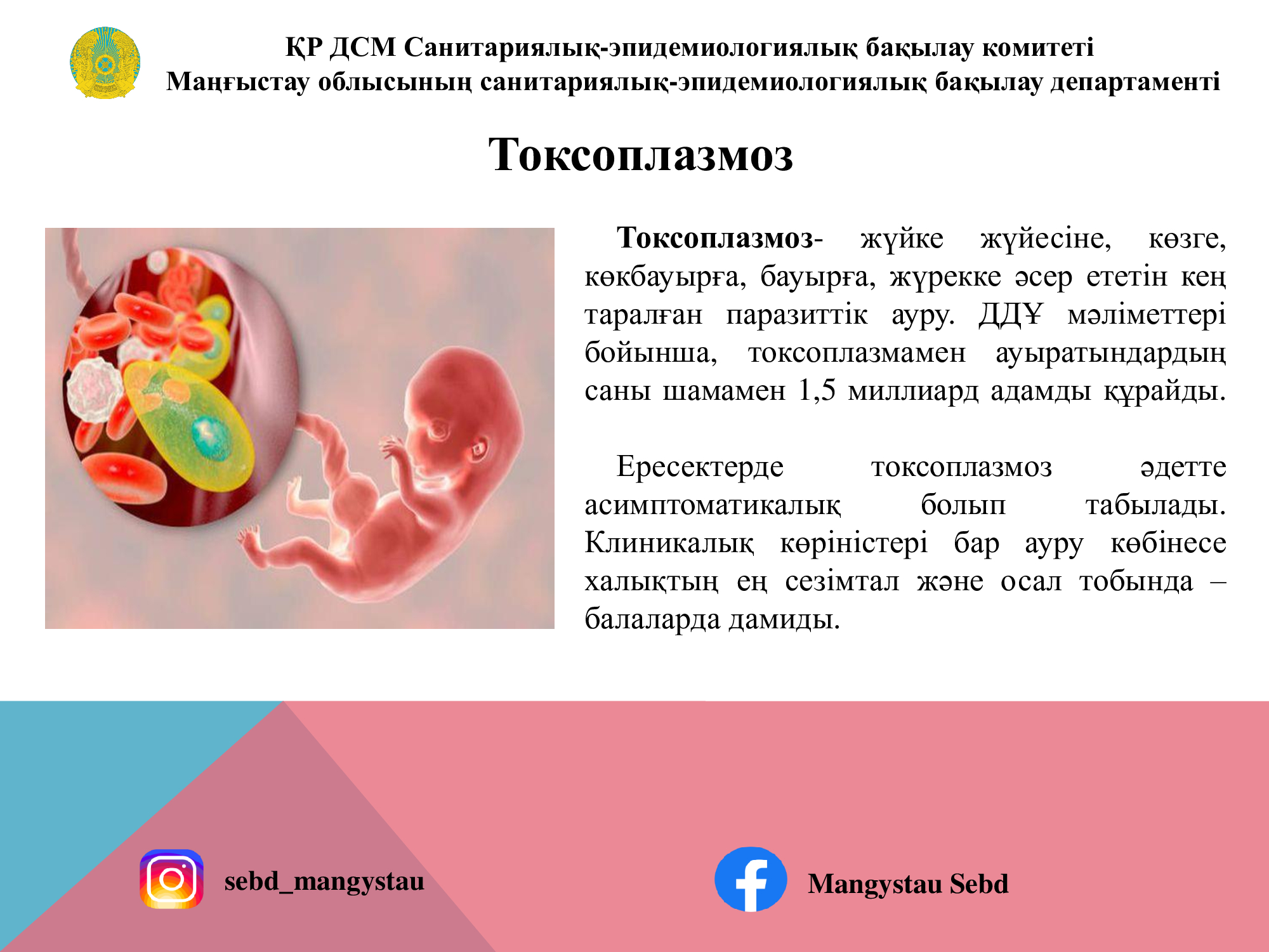 Токсоплазмоз