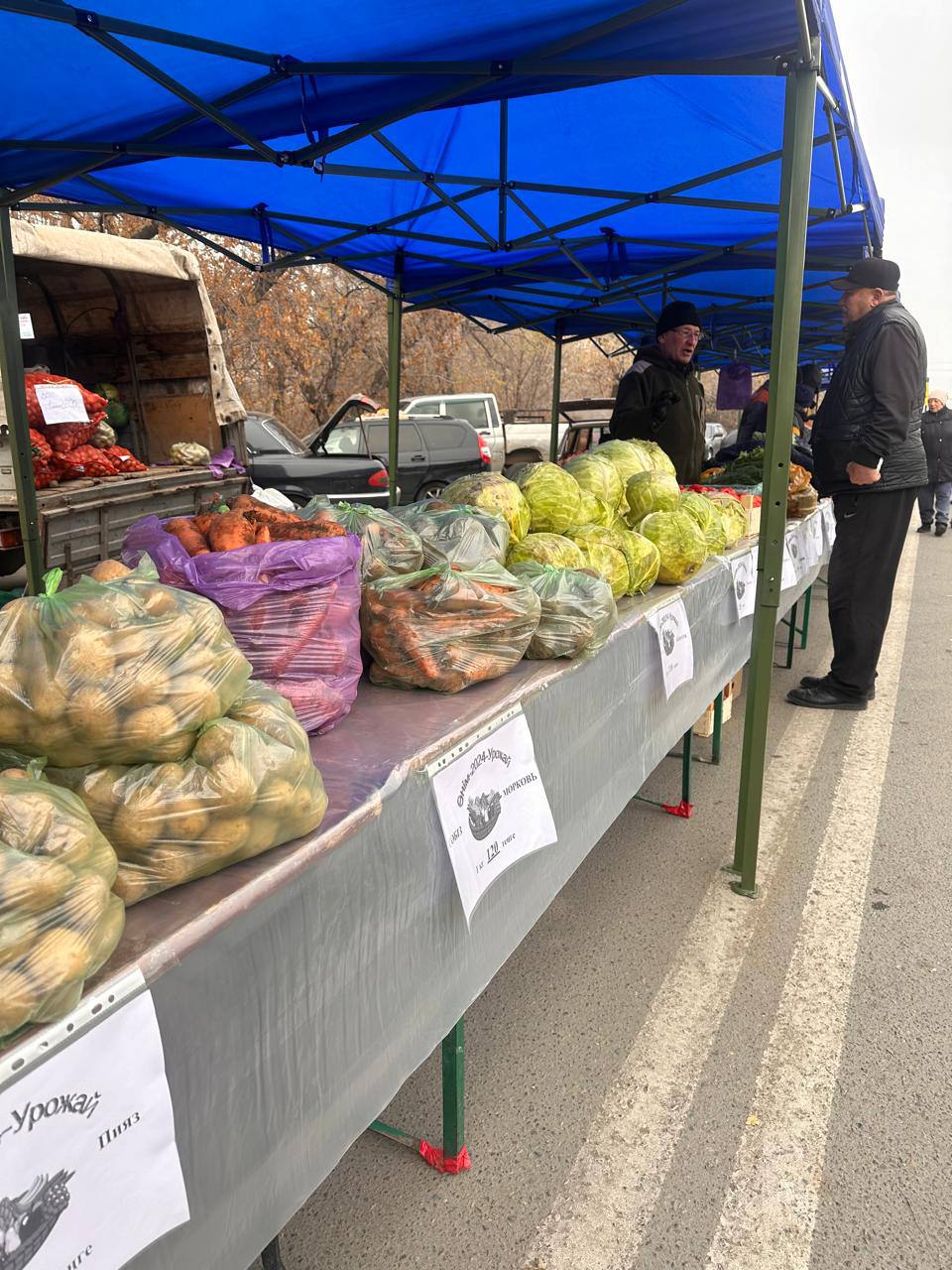 Осенняя ярмарка в Семее: сельхозпродукция по сниженным ценам