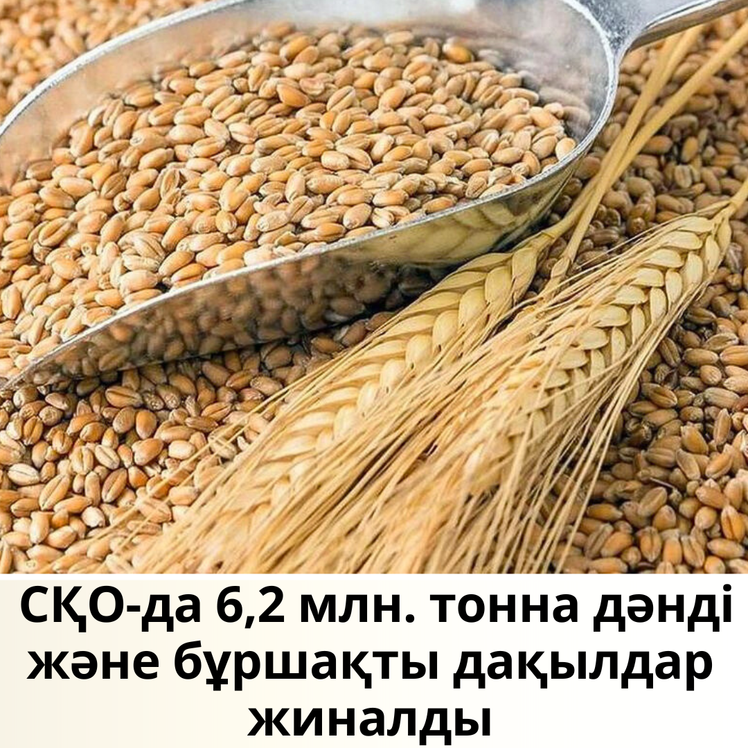 Купить Зерно В Крыму