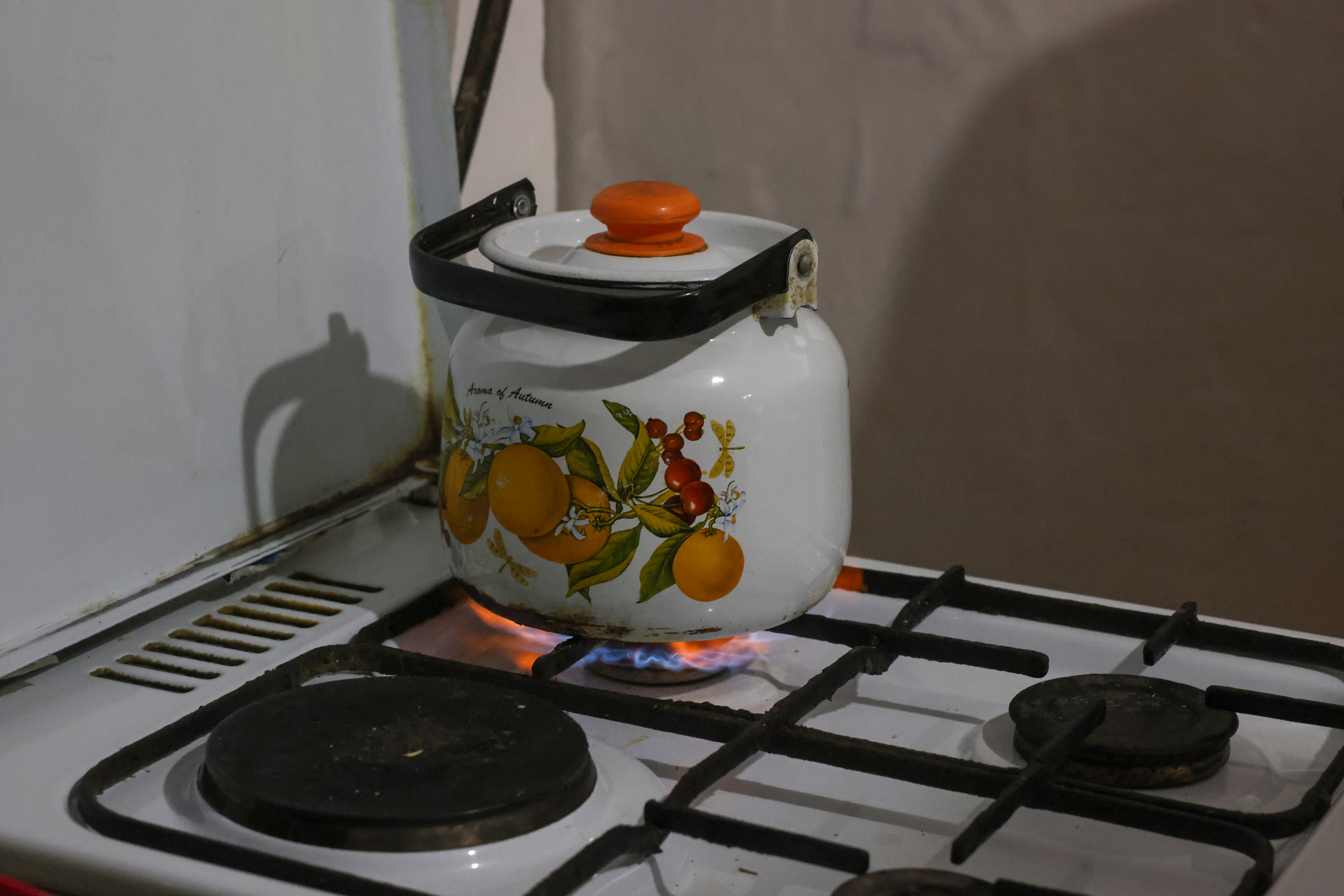 Ескелді ауданы 2025 жылдың соңына дейін толық газдандырылады