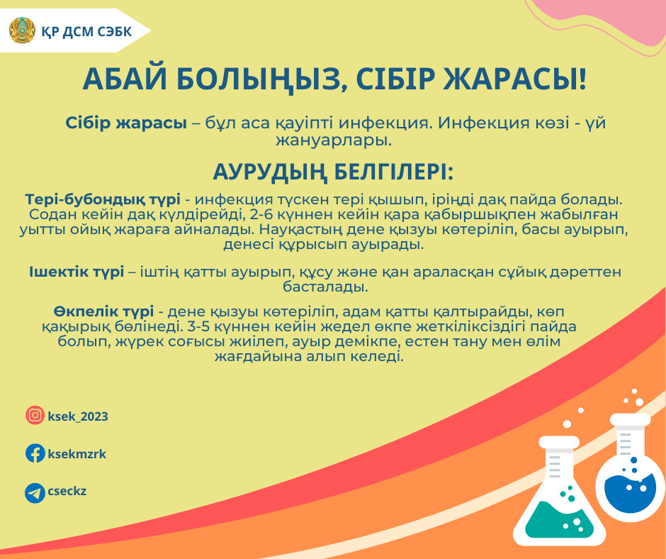Абай болыңыз, сібір жарасы!